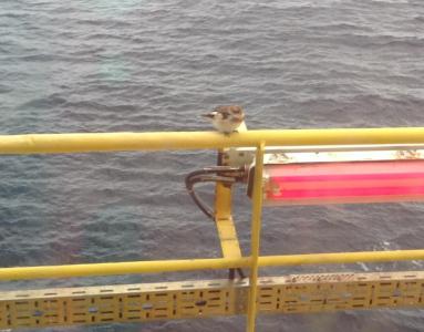 post-10401-0-82592400-1381936748_thumb.j