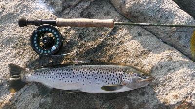 post-11041-0-90163600-1383161537_thumb.j