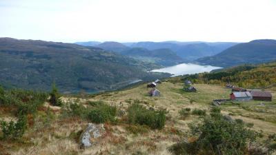 post-11774-0-07547100-1382304840_thumb.j