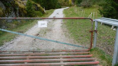 post-11774-0-13274200-1382302581_thumb.j