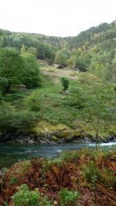 post-11774-0-23274300-1382306761_thumb.j