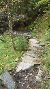 post-11774-0-45910000-1382306529_thumb.j