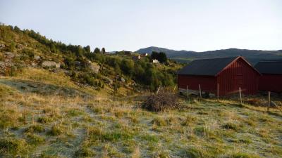 post-11774-0-59942800-1382303538_thumb.j