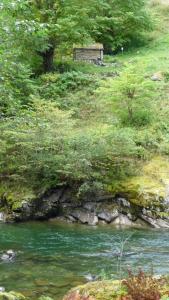 post-11774-0-63544000-1382306920_thumb.j