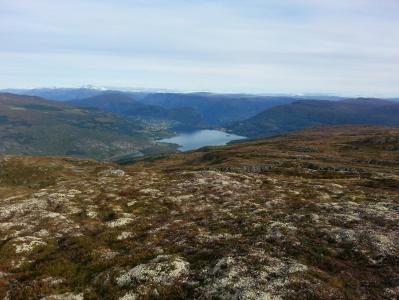 post-11774-0-63620000-1382305710_thumb.j