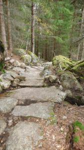 post-11774-0-77772600-1382306291_thumb.j