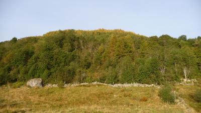 post-11774-0-78393100-1382303466_thumb.j