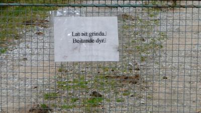 post-11774-0-84811200-1382302658_thumb.j