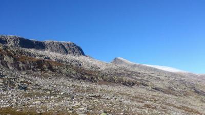 post-12082-0-01874500-1381697851_thumb.j