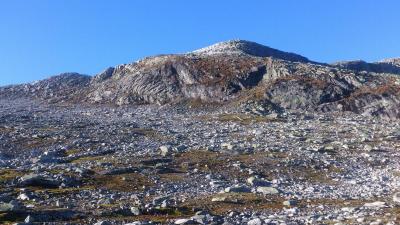 post-12082-0-18350600-1381697830_thumb.j