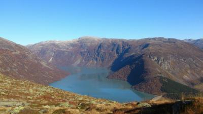 post-12082-0-74602300-1381697792_thumb.j