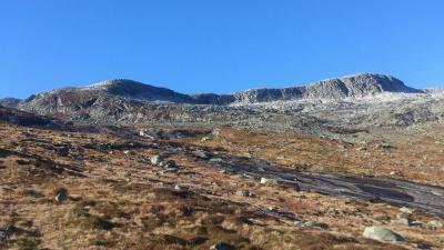 post-12082-0-91263400-1381697766_thumb.j