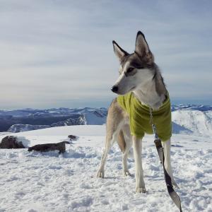 post-12621-0-00526600-1381255439_thumb.j