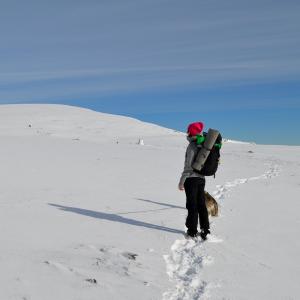 post-12621-0-72073200-1381255520_thumb.j