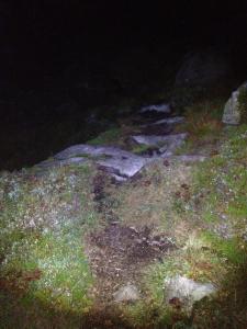 post-13206-0-79623100-1383124599_thumb.j