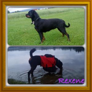 post-3896-0-70745700-1381486000_thumb.jp