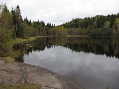 post-4444-0-11675800-1380638644_thumb.jp