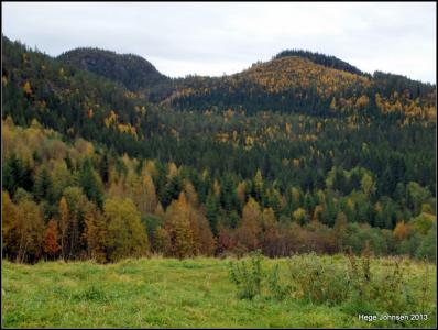 post-4444-0-84013800-1381079400_thumb.jp