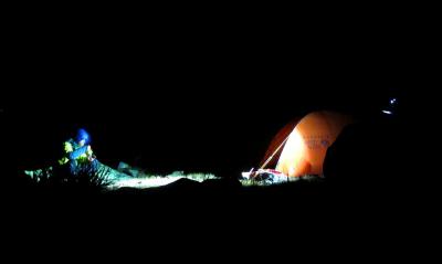 post-5481-0-22647800-1381696200_thumb.jp