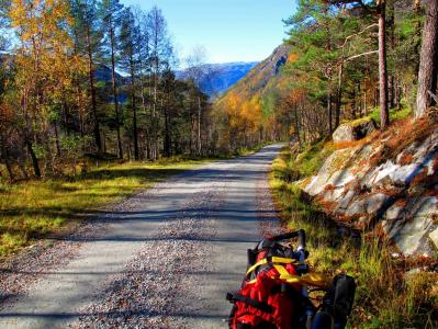 post-5481-0-83032800-1381696336_thumb.jp