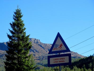 post-5481-0-89221100-1381696385_thumb.jp