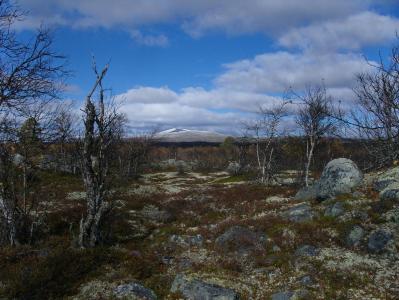 post-6789-0-05510600-1380628268_thumb.jp