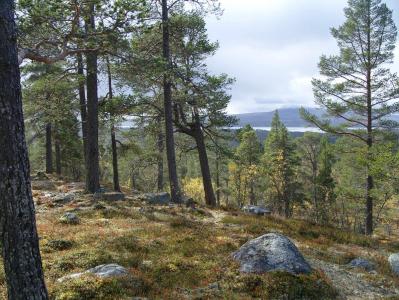 post-6789-0-14064900-1380627590_thumb.jp