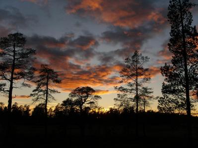 post-6789-0-18016800-1380628329_thumb.jp