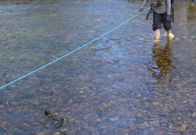 post-6789-0-27478100-1380628242_thumb.jp