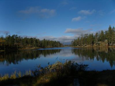 post-6789-0-50646000-1380628390_thumb.jp