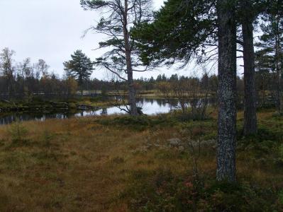 post-6789-0-63013100-1380627900_thumb.jp