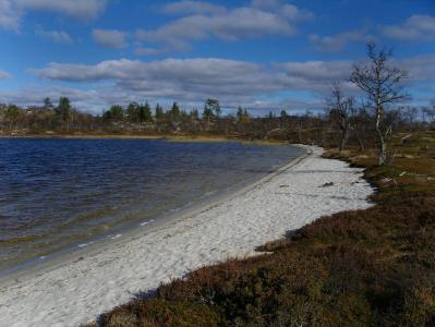 post-6789-0-74829200-1380628285_thumb.jp