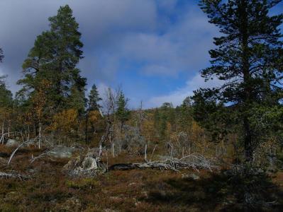 post-6789-0-76301500-1380627610_thumb.jp