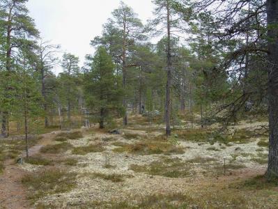 post-6789-0-79598800-1380627480_thumb.jp