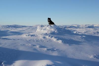 post-8184-0-20146100-1381515740_thumb.jp