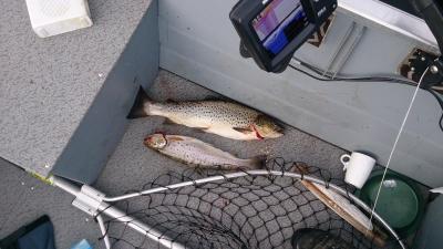 post-8488-0-71609100-1383234013_thumb.jp