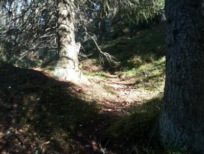 post-9055-0-66411900-1381673784_thumb.jp