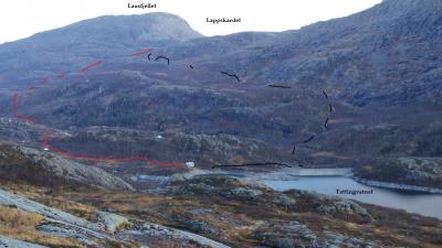 post-10401-0-07543000-1412878645_thumb.j