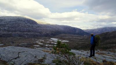 post-10401-0-08151200-1412883141_thumb.j