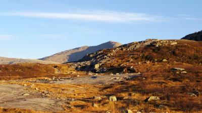 post-10401-0-15505000-1412881906_thumb.j