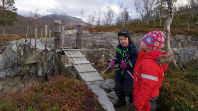 post-10401-0-18009400-1413186646_thumb.j