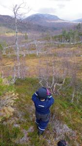 post-10401-0-21235900-1413187129_thumb.j