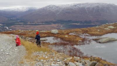 post-10401-0-40055000-1413051234_thumb.j