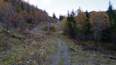 post-10401-0-40444600-1412877104_thumb.j