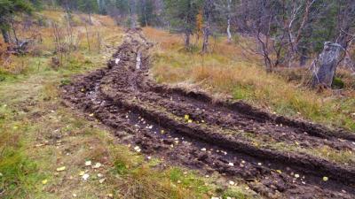 post-10401-0-42582200-1412887898_thumb.j