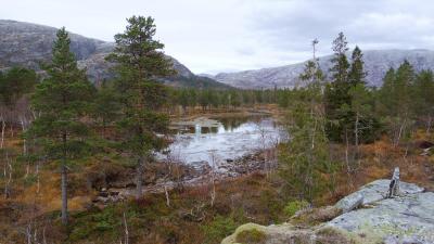 post-10401-0-53591400-1412883729_thumb.j