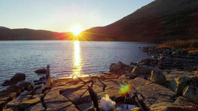 post-10401-0-57264300-1412881919_thumb.j