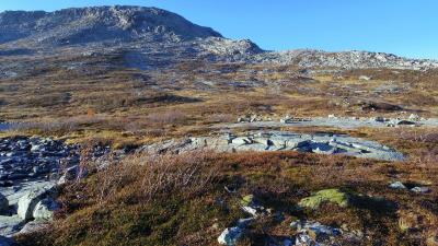 post-10401-0-58873800-1412881879_thumb.j