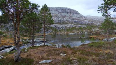 post-10401-0-62516000-1412883320_thumb.j