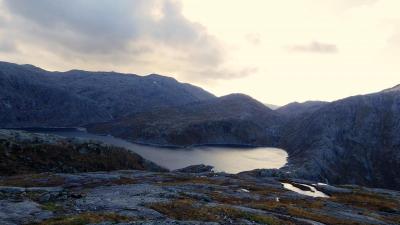 post-10401-0-81382500-1412878515_thumb.j